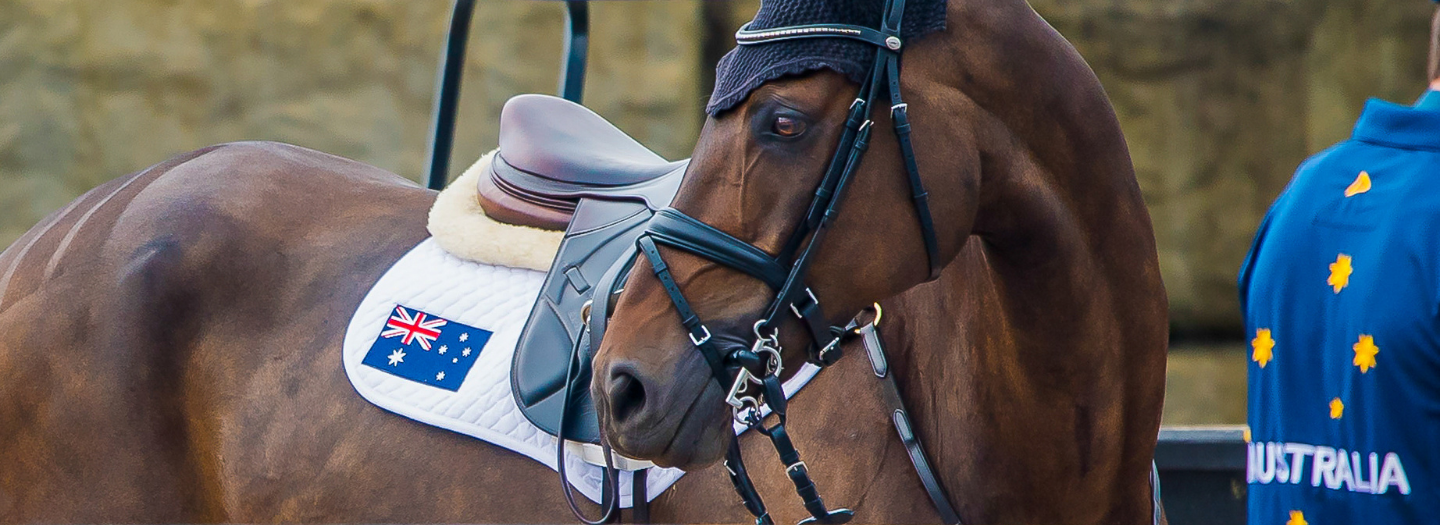 Updated FEI Veterinary Regulations For Recording Horse Temperature